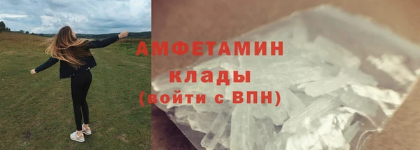 шишки Балабаново