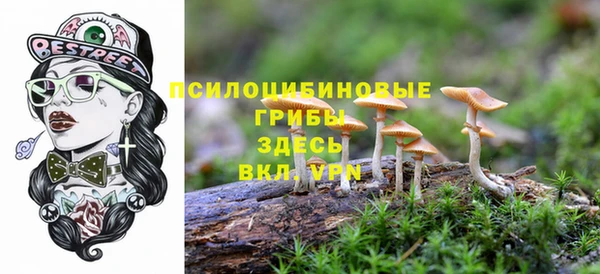 прущий лед Балахна