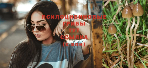 стаф Няндома