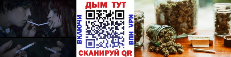 Канабис сатива  OMG ССЫЛКА  Биробиджан  закладка 